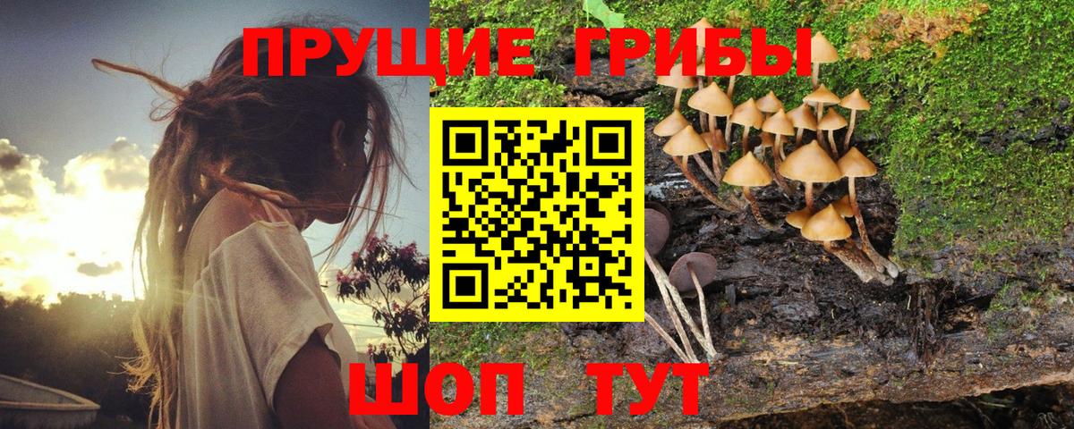 Галлюциногенные грибы ЛСД Усть-Илимск