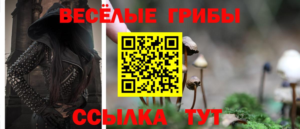 Усть-Илимск  Псилоцибиновые грибы Magic Shrooms  Вход с VPN 